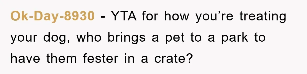 Ok-Day-8930 − YTA for how you’re treating your dog, who brings a pet to a park to have them fester in a crate?