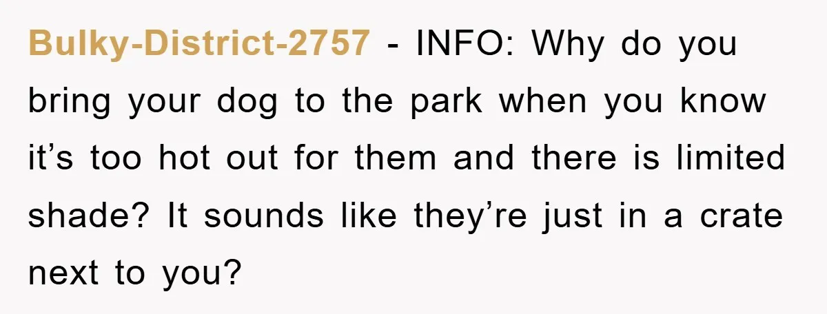 Bulky-District-2757 − INFO: Why do you bring your dog to the park when you know it’s too hot out for them and there is limited shade? It sounds like they’re...