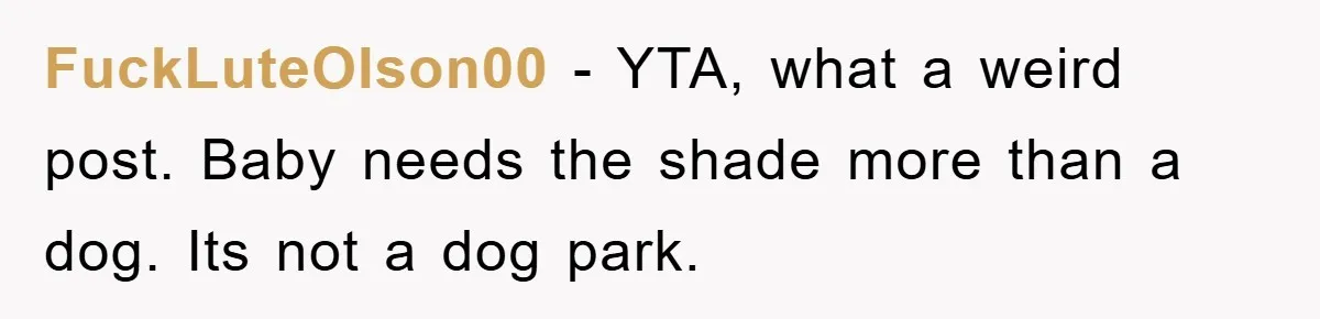 FuckLuteOlson00 − YTA, what a weird post. Baby needs the shade more than a dog. Its not a dog park.