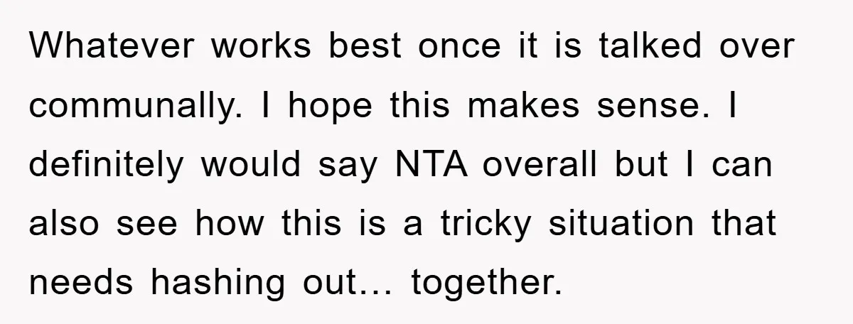 Whatever works best once it is talked over communally. I hope this makes sense. I definitely would say NTA overall but I can also see how this is a tricky...