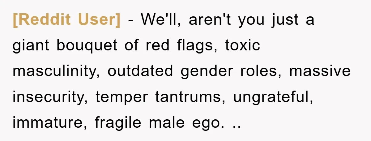 [Reddit User] − We'll, aren't you just a giant bouquet of red flags, toxic masculinity, outdated gender roles, massive insecurity, temper tantrums, ungrateful, immature, fragile male ego. ..
