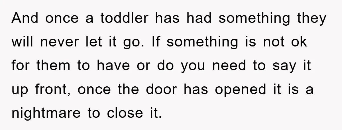And once a toddler has had something they will never let it go. If something is not ok for them to have or do you need to say it up...