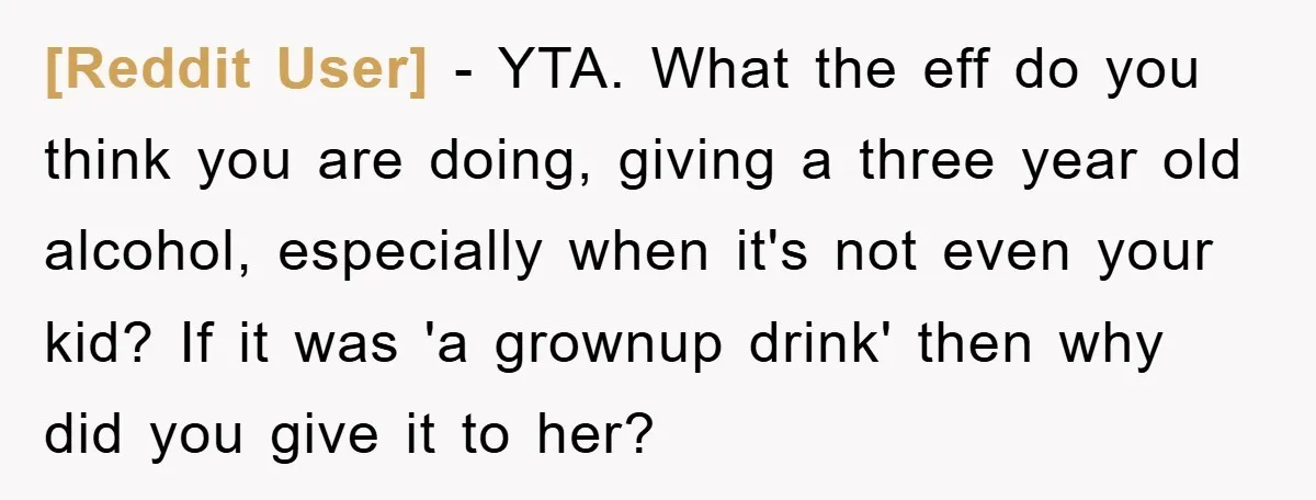 [Reddit User] − YTA. What the eff do you think you are doing, giving a three year old alcohol, especially when it's not even your kid? If it was 'a...
