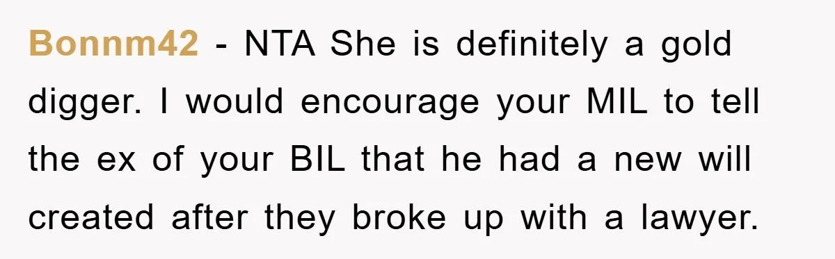 Bonnm42 − NTA She is definitely a gold digger. I would encourage your MIL to tell the ex of your BIL that he had a new will created after they...
