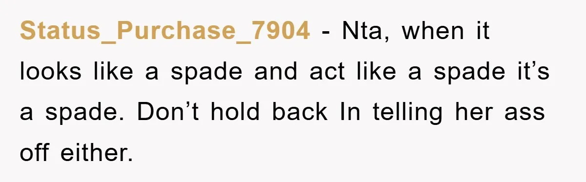 Status_Purchase_7904 − Nta, when it looks like a spade and act like a spade it’s a spade. Don’t hold back In telling her ass off either.