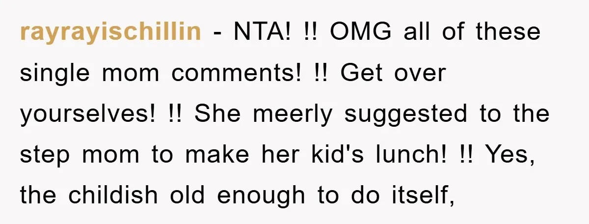 rayrayischillin − NTA! !! OMG all of these single mom comments! !! Get over yourselves! !! She meerly suggested to the step mom to make her kid's lunch! !! Yes,...