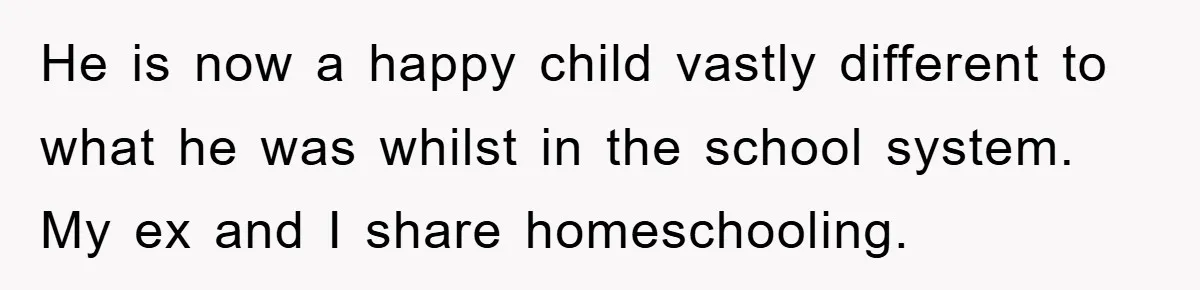 He is now a happy child vastly different to what he was whilst in the school system. My ex and I share homeschooling.