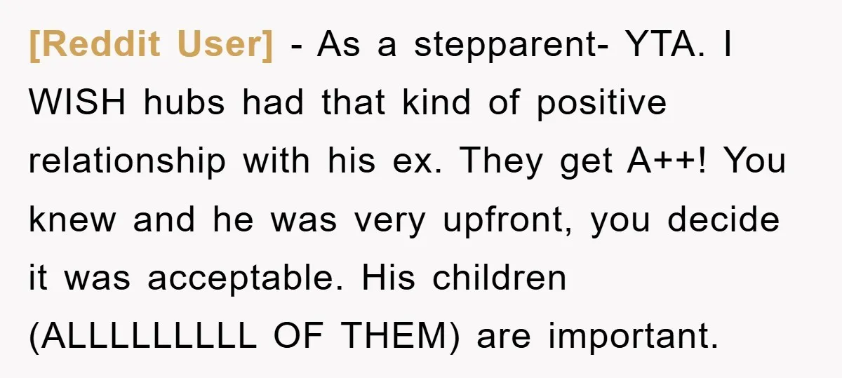 [Reddit User] − As a stepparent- YTA. I WISH hubs had that kind of positive relationship with his ex. They get A++! You knew and he was very upfront, you...