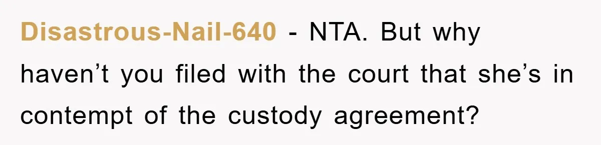 Disastrous-Nail-640 − NTA. But why haven’t you filed with the court that she’s in contempt of the custody agreement?