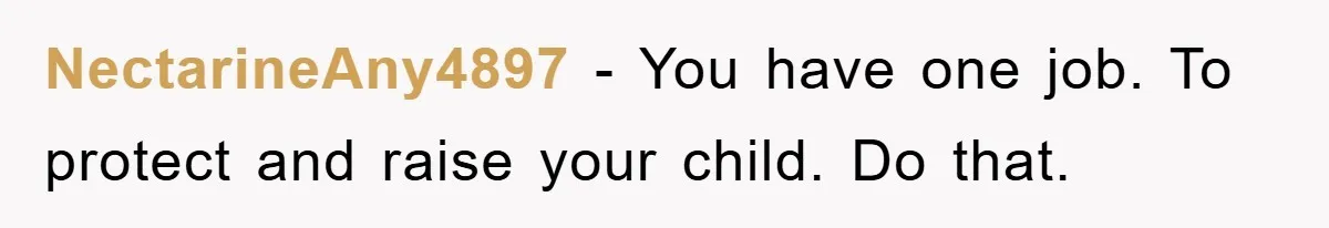 NectarineAny4897 − You have one job. To protect and raise your child. Do that.
