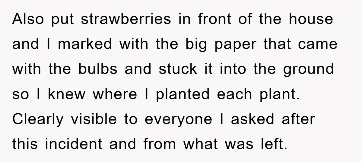 Also put strawberries in front of the house and I marked with the big paper that came with the bulbs and stuck it into the ground so I knew where...