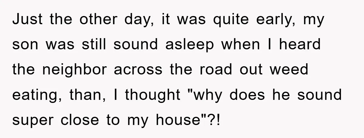 Just the other day, it was quite early, my son was still sound asleep when I heard the neighbor across the road out weed eating, than, I thought "why does...