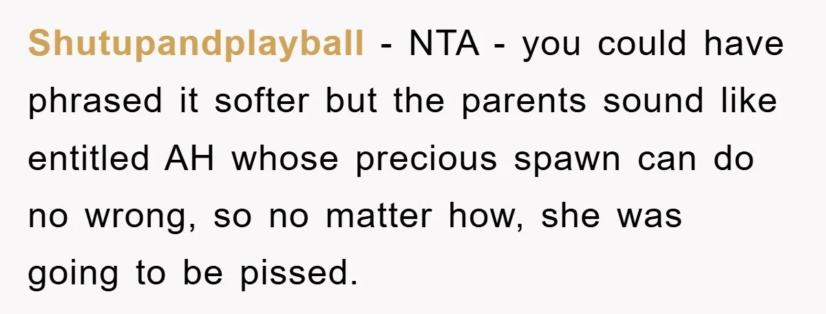 Shutupandplayball − NTA - you could have phrased it softer but the parents sound like entitled AH whose precious spawn can do no wrong, so no matter how, she was...