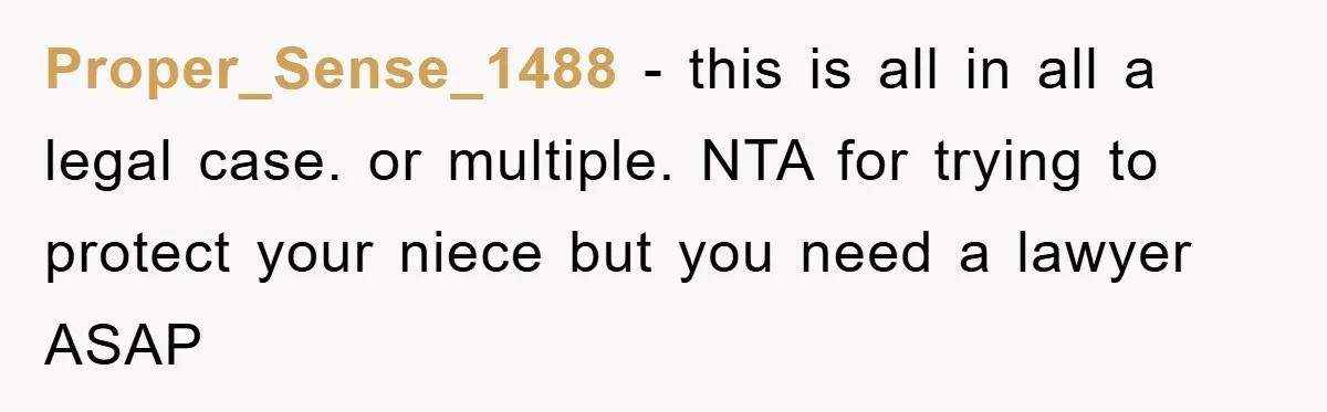 Proper_Sense_1488 − this is all in all a legal case. or multiple. NTA for trying to protect your niece but you need a lawyer ASAP