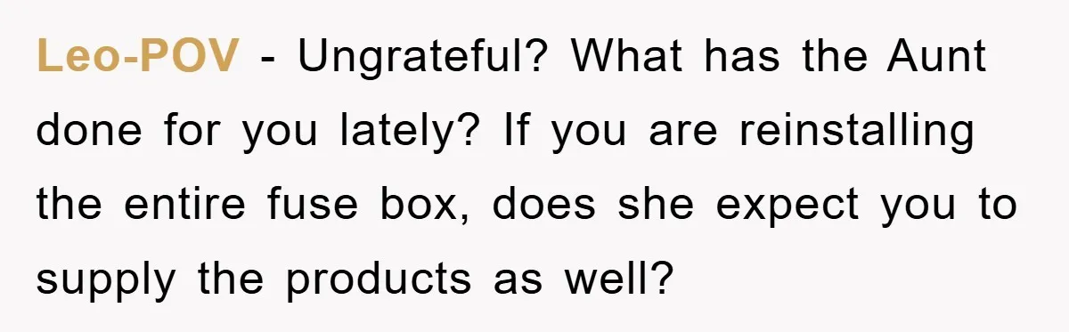 Leo-POV − Ungrateful? What has the Aunt done for you lately? If you are reinstalling the entire fuse box, does she expect you to supply the products as well?