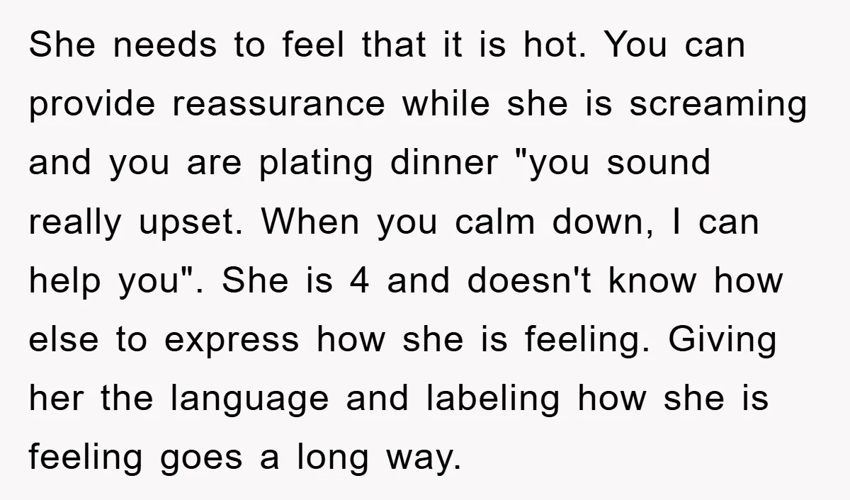She needs to feel that it is hot. You can provide reassurance while she is screaming and you are plating dinner "you sound really upset. When you calm down, I...