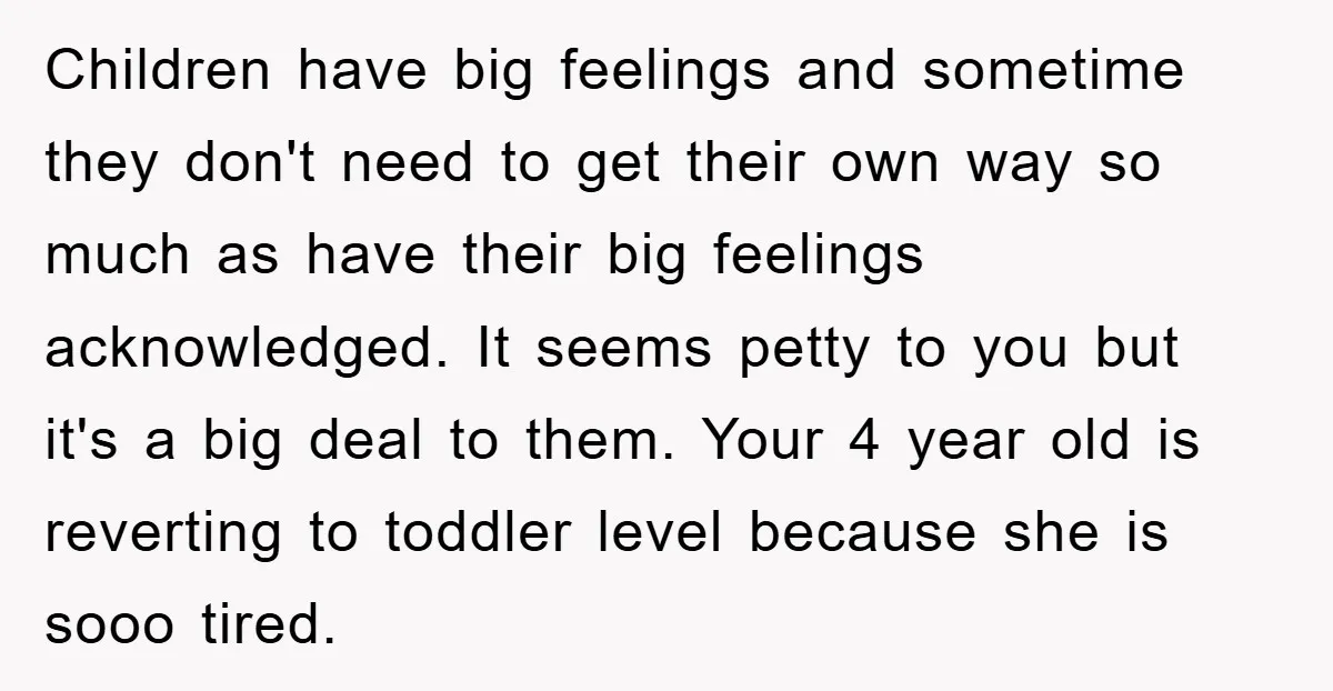 Children have big feelings and sometime they don't need to get their own way so much as have their big feelings acknowledged. It seems petty to you but it's a...