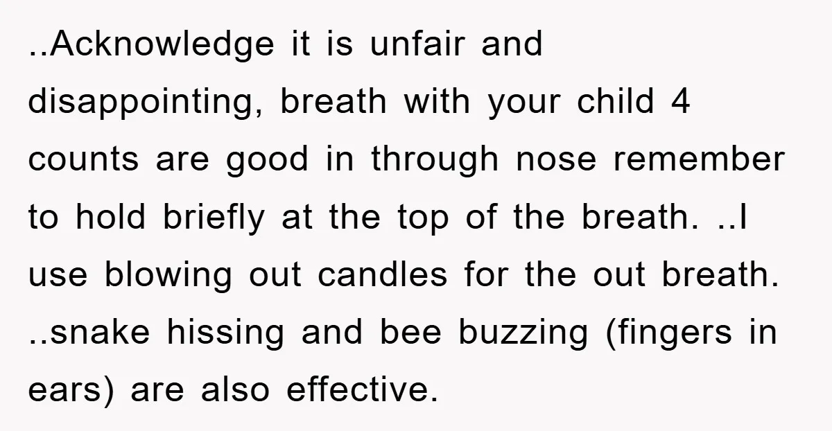 ..Acknowledge it is unfair and disappointing, breath with your child 4 counts are good in through nose remember to hold briefly at the top of the breath. ..I use blowing...