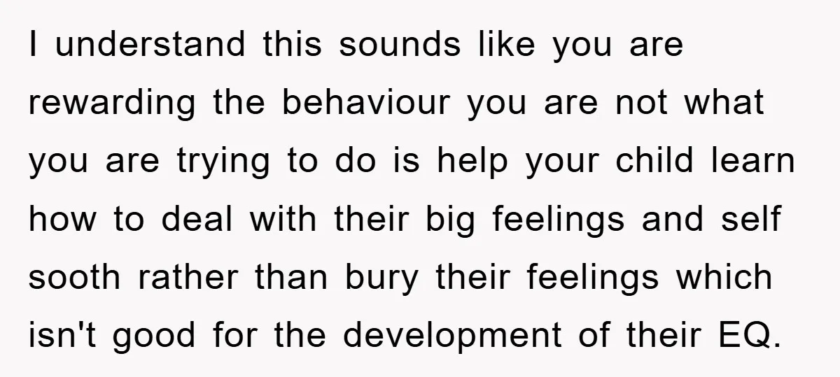 I understand this sounds like you are rewarding the behaviour you are not what you are trying to do is help your child learn how to deal with their big...