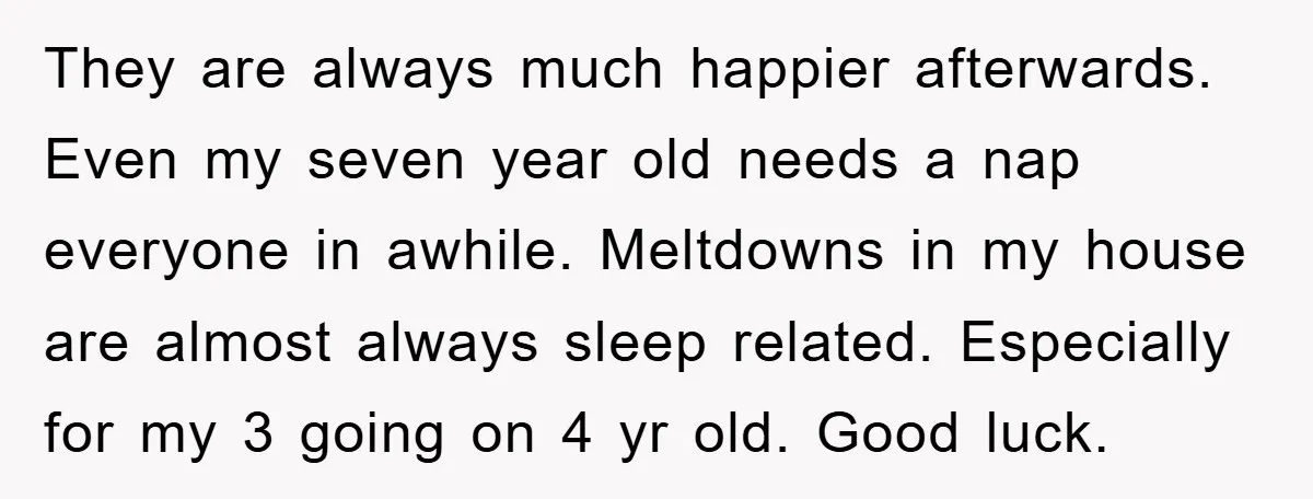 They are always much happier afterwards. Even my seven year old needs a nap everyone in awhile. Meltdowns in my house are almost always sleep related. Especially for my 3...