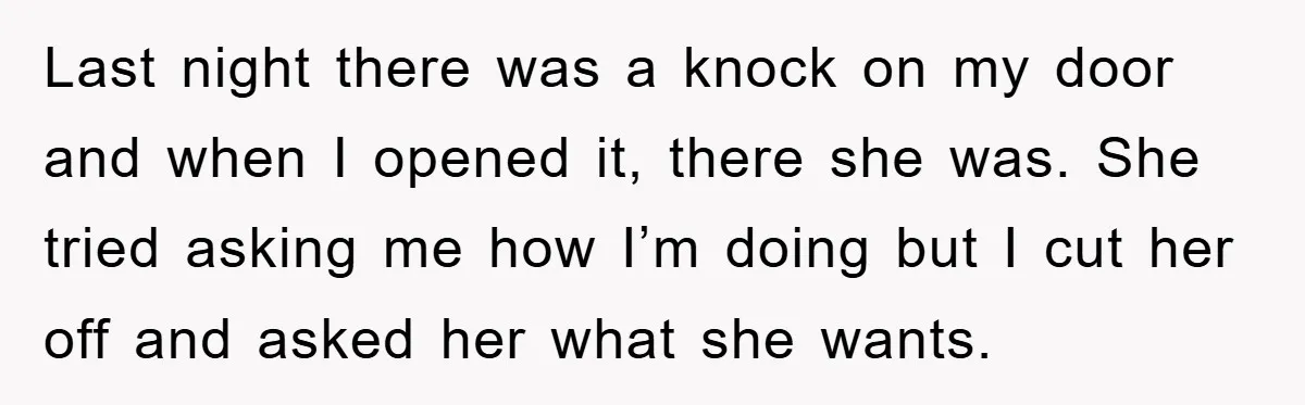 Last night there was a knock on my door and when I opened it, there she was. She tried asking me how I’m doing but I cut her off and...