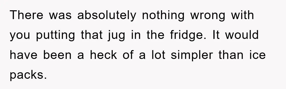There was absolutely nothing wrong with you putting that jug in the fridge. It would have been a heck of a lot simpler than ice packs.