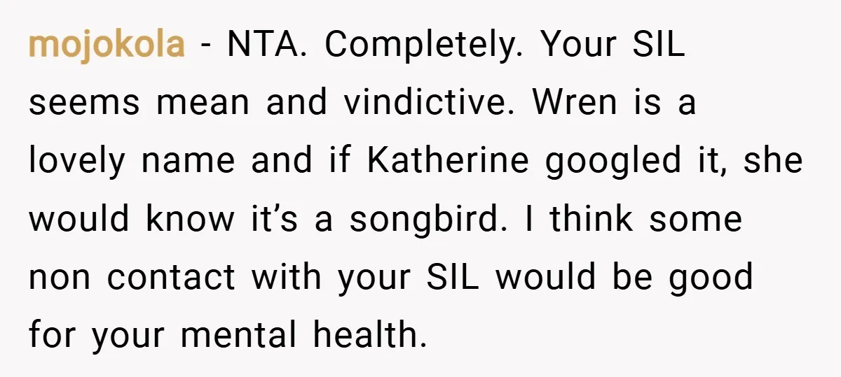 mojokola − NTA. Completely. Your SIL seems mean and vindictive. Wren is a lovely name and if Katherine googled it, she would know it’s a songbird. I think some non...