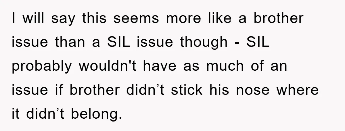 I will say this seems more like a brother issue than a SIL issue though - SIL probably wouldn't have as much of an issue if brother didn’t stick his...
