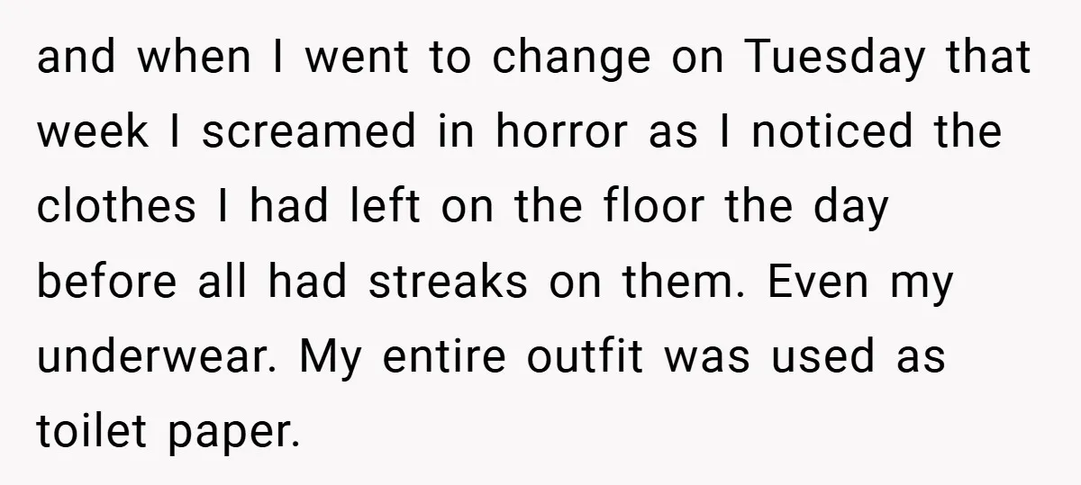 and when I went to change on Tuesday that week I screamed in horror as I noticed the clothes I had left on the floor the day before all had...