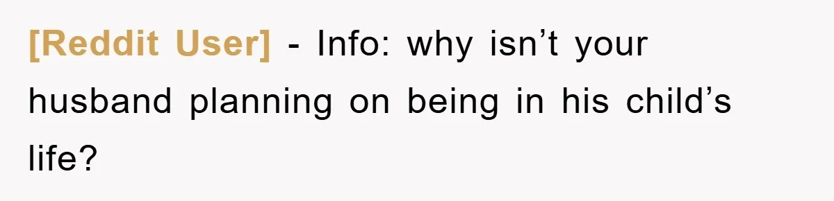 [Reddit User] − Info: why isn’t your husband planning on being in his child’s life?