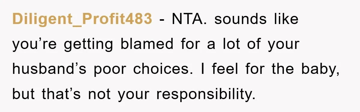 Diligent_Profit483 − NTA. sounds like you’re getting blamed for a lot of your husband’s poor choices. I feel for the baby, but that’s not your responsibility.