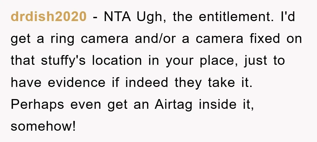 drdish2020 − NTA Ugh, the entitlement. I'd get a ring camera and/or a camera fixed on that stuffy's location in your place, just to have evidence if indeed they take...