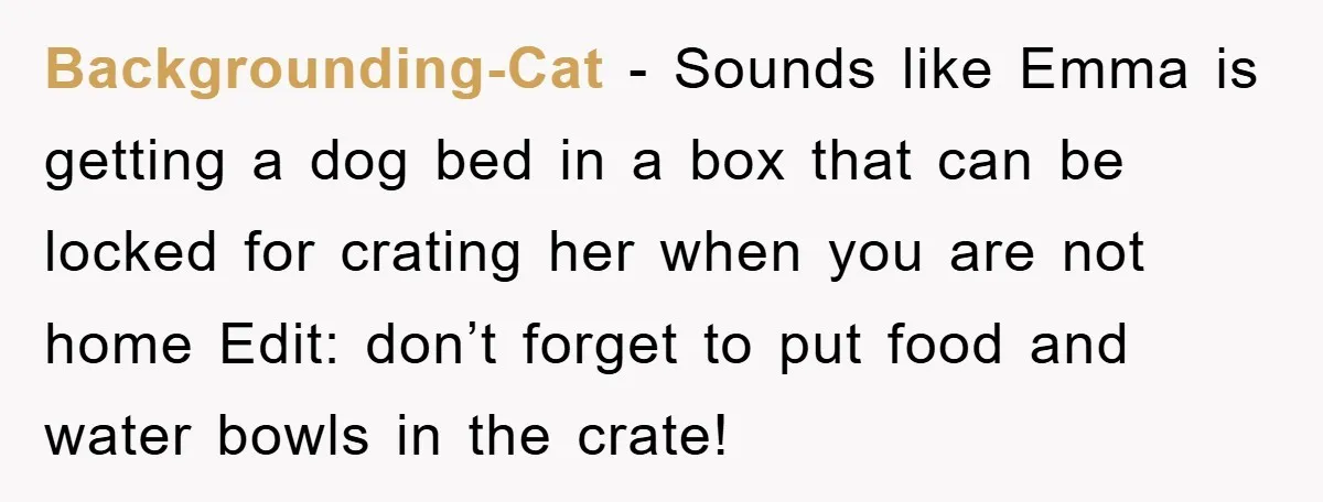 Backgrounding-Cat − Sounds like Emma is getting a dog bed in a box that can be locked for crating her when you are not home Edit: don’t forget to put...