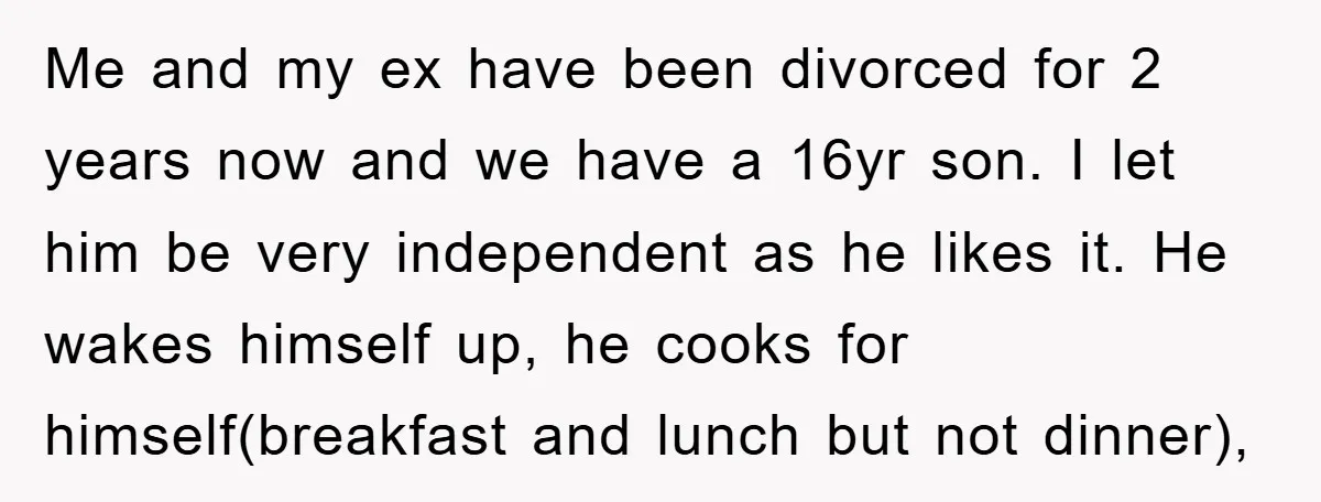Me and my ex have been divorced for 2 years now and we have a 16yr son. I let him be very independent as he likes it. He wakes himself...