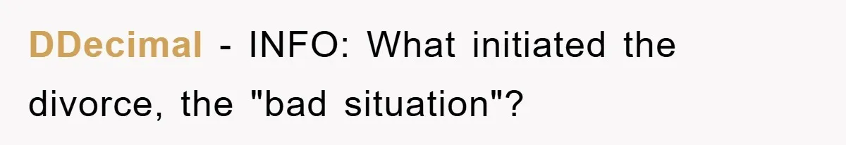 DDecimal − INFO: What initiated the divorce, the "bad situation"?