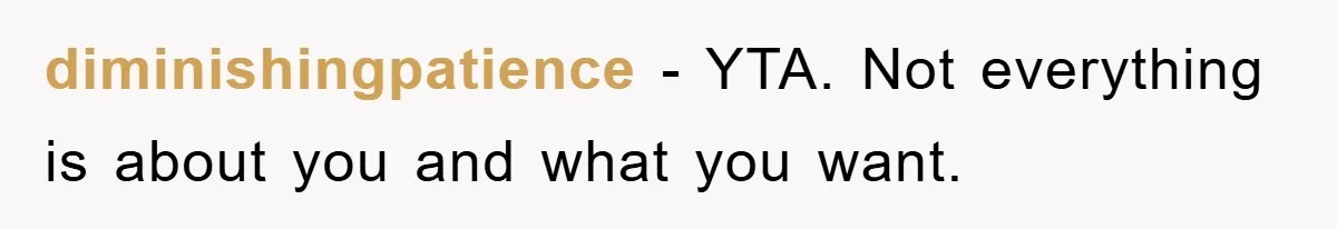 diminishingpatience − YTA. Not everything is about you and what you want.