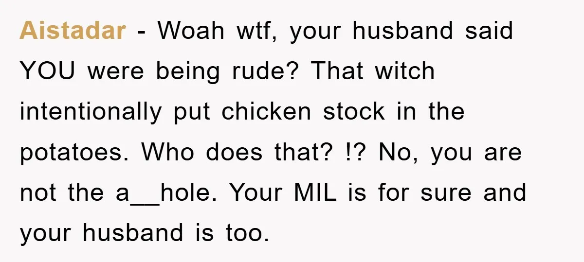 Aistadar − Woah wtf, your husband said YOU were being rude? That witch intentionally put chicken stock in the potatoes. Who does that? !? No, you are not the a__hole....