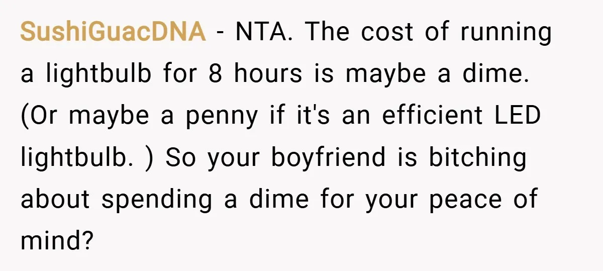 SushiGuacDNA − NTA. The cost of running a lightbulb for 8 hours is maybe a dime. (Or maybe a penny if it's an efficient LED lightbulb. ) So your boyfriend...