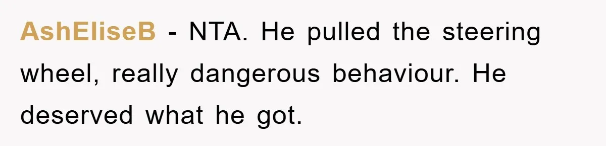 AshEliseB − NTA. He pulled the steering wheel, really dangerous behaviour. He deserved what he got.