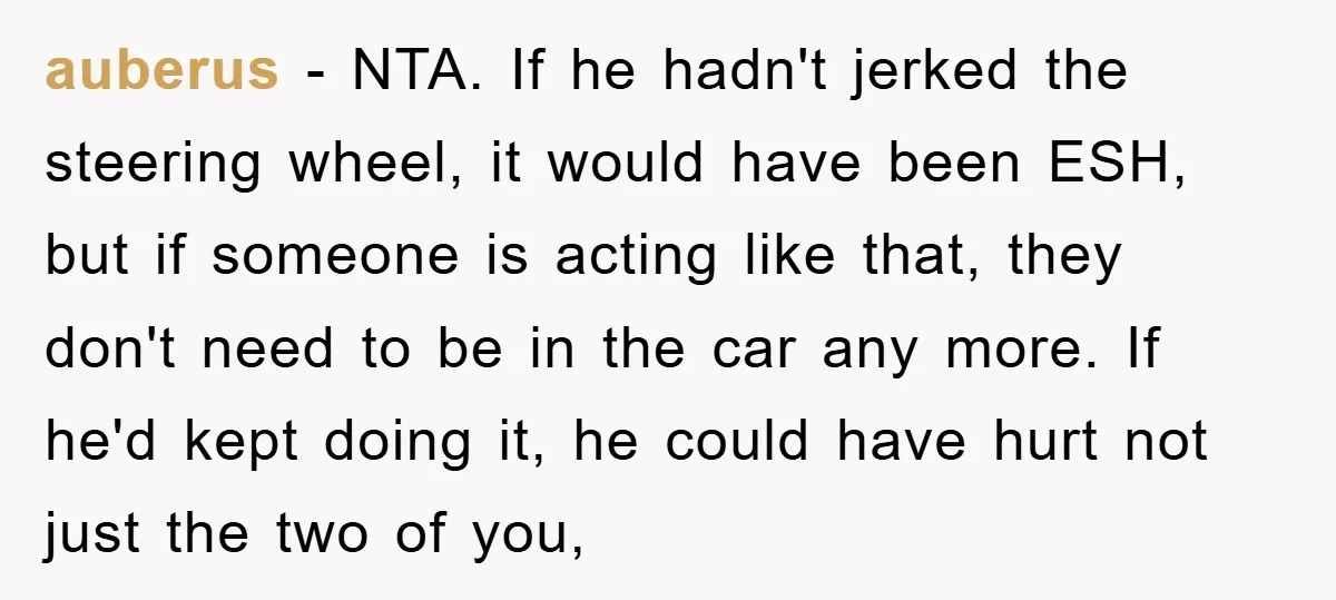 auberus − NTA. If he hadn't jerked the steering wheel, it would have been ESH, but if someone is acting like that, they don't need to be in the car...