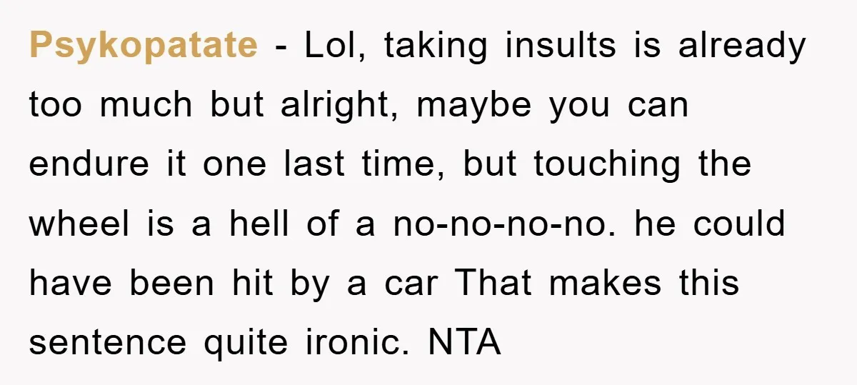 Psykopatate − Lol, taking insults is already too much but alright, maybe you can endure it one last time, but touching the wheel is a hell of a no-no-no-no. he...