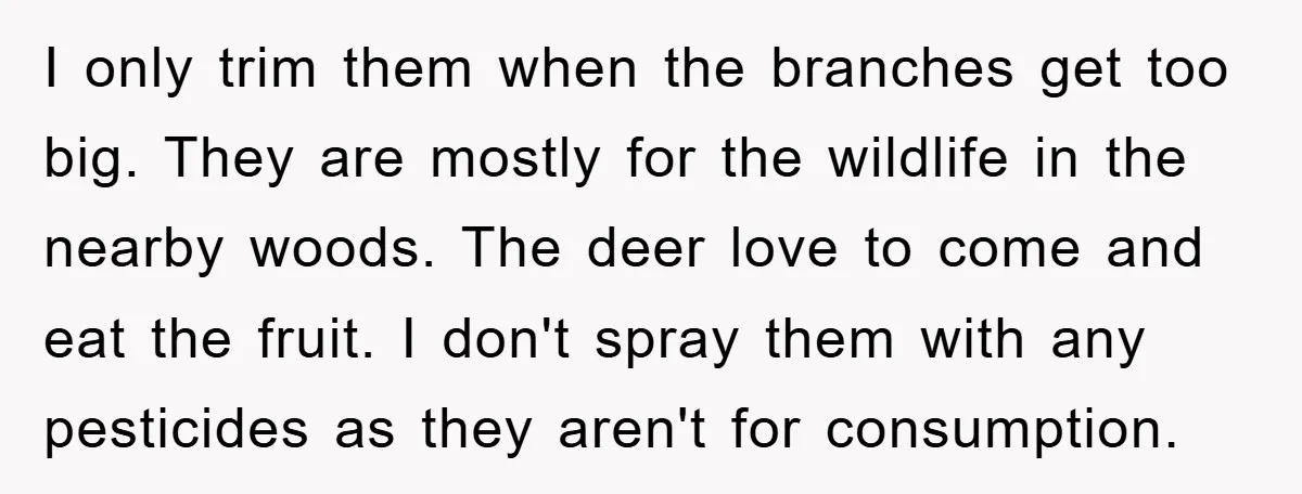 I only trim them when the branches get too big. They are mostly for the wildlife in the nearby woods. The deer love to come and eat the fruit. I...