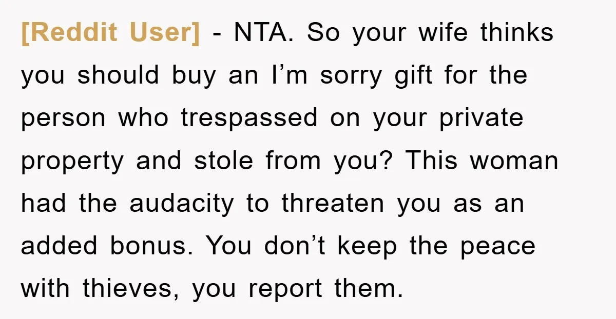 [Reddit User] − NTA. So your wife thinks you should buy an I’m sorry gift for the person who trespassed on your private property and stole from you? This woman...