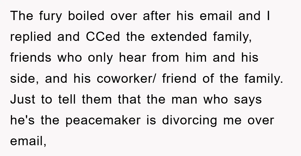 The fury boiled over after his email and I replied and CCed the extended family, friends who only hear from him and his side, and his coworker/ friend of the...