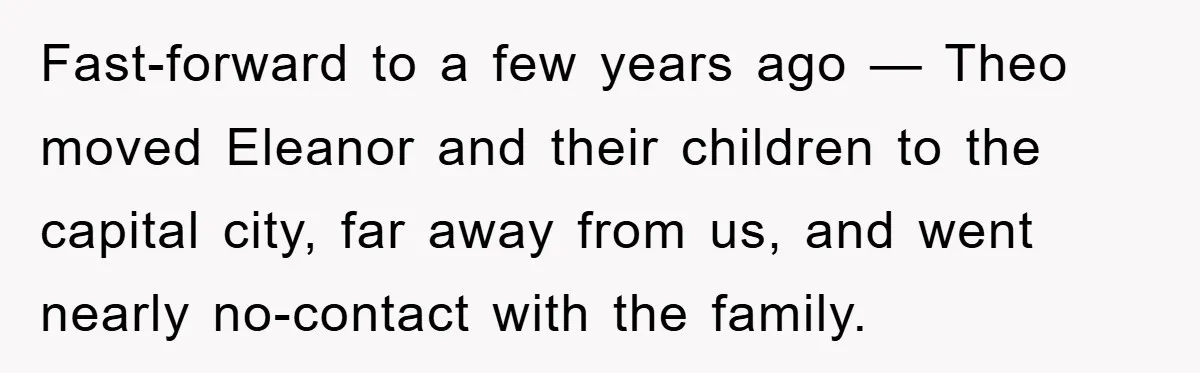 Fast-forward to a few years ago — Theo moved Eleanor and their children to the capital city, far away from us, and went nearly no-contact with the family.
