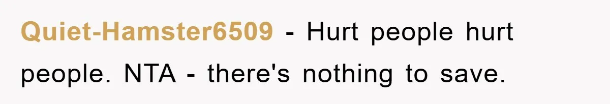 Quiet-Hamster6509 − Hurt people hurt people. NTA - there's nothing to save.