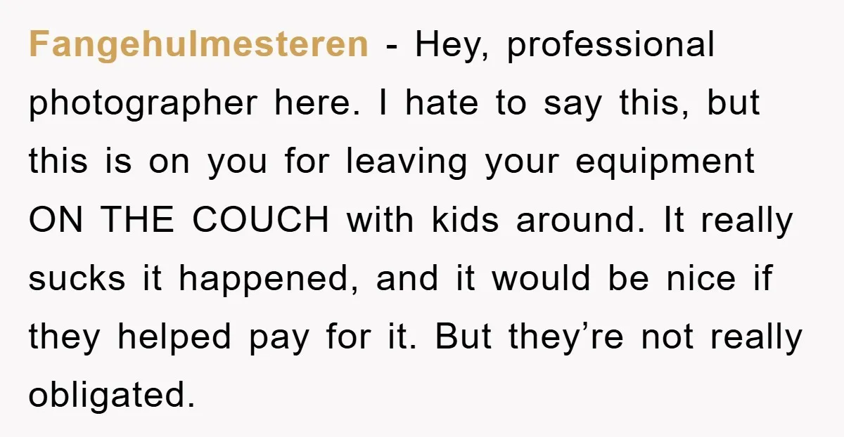 Fangehulmesteren − Hey, professional photographer here. I hate to say this, but this is on you for leaving your equipment ON THE COUCH with kids around. It really sucks it...
