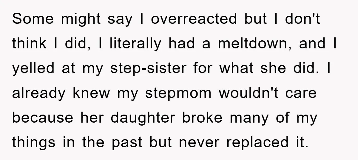 Some might say I overreacted but I don't think I did, I literally had a meltdown, and I yelled at my step-sister for what she did. I already knew my...