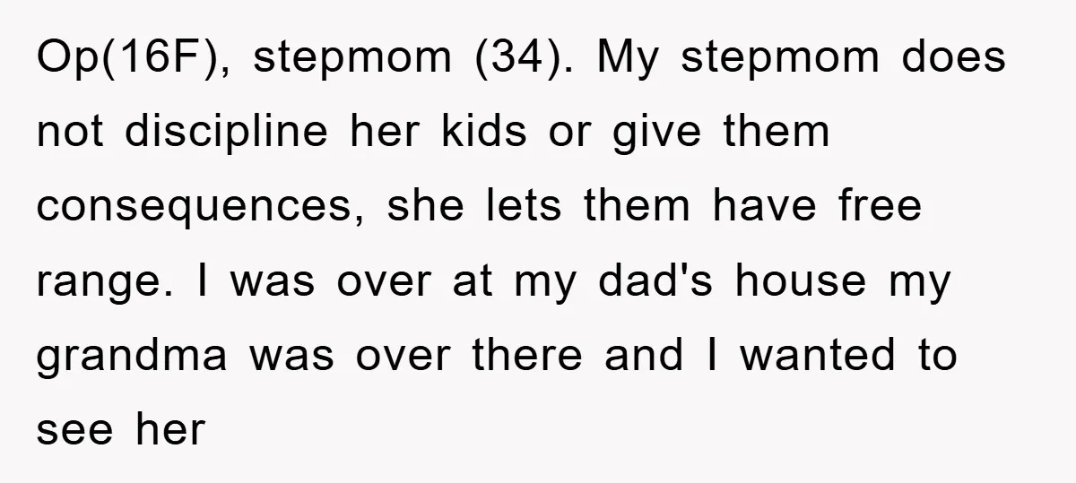 Op(16F), stepmom (34). My stepmom does not discipline her kids or give them consequences, she lets them have free range. I was over at my dad's house my grandma was...
