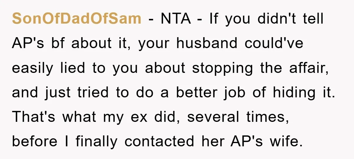 SonOfDadOfSam − NTA - If you didn't tell AP's bf about it, your husband could've easily lied to you about stopping the affair, and just tried to do a better...